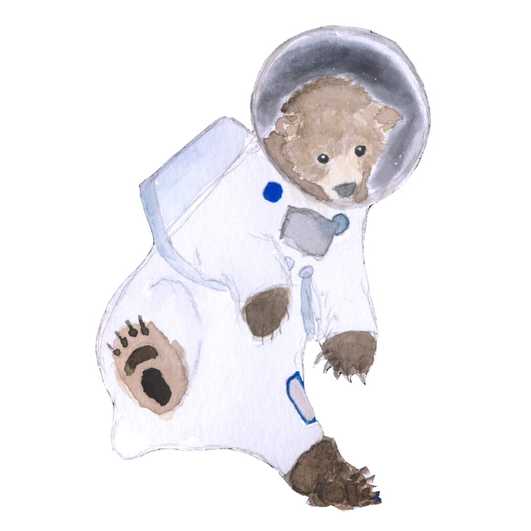 ourson_astronaute